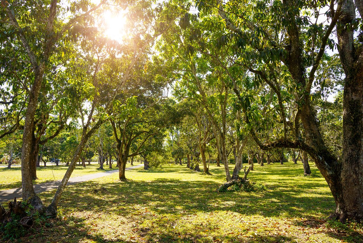 Miami Dade Miami Larryand Penny Thompson Park 05