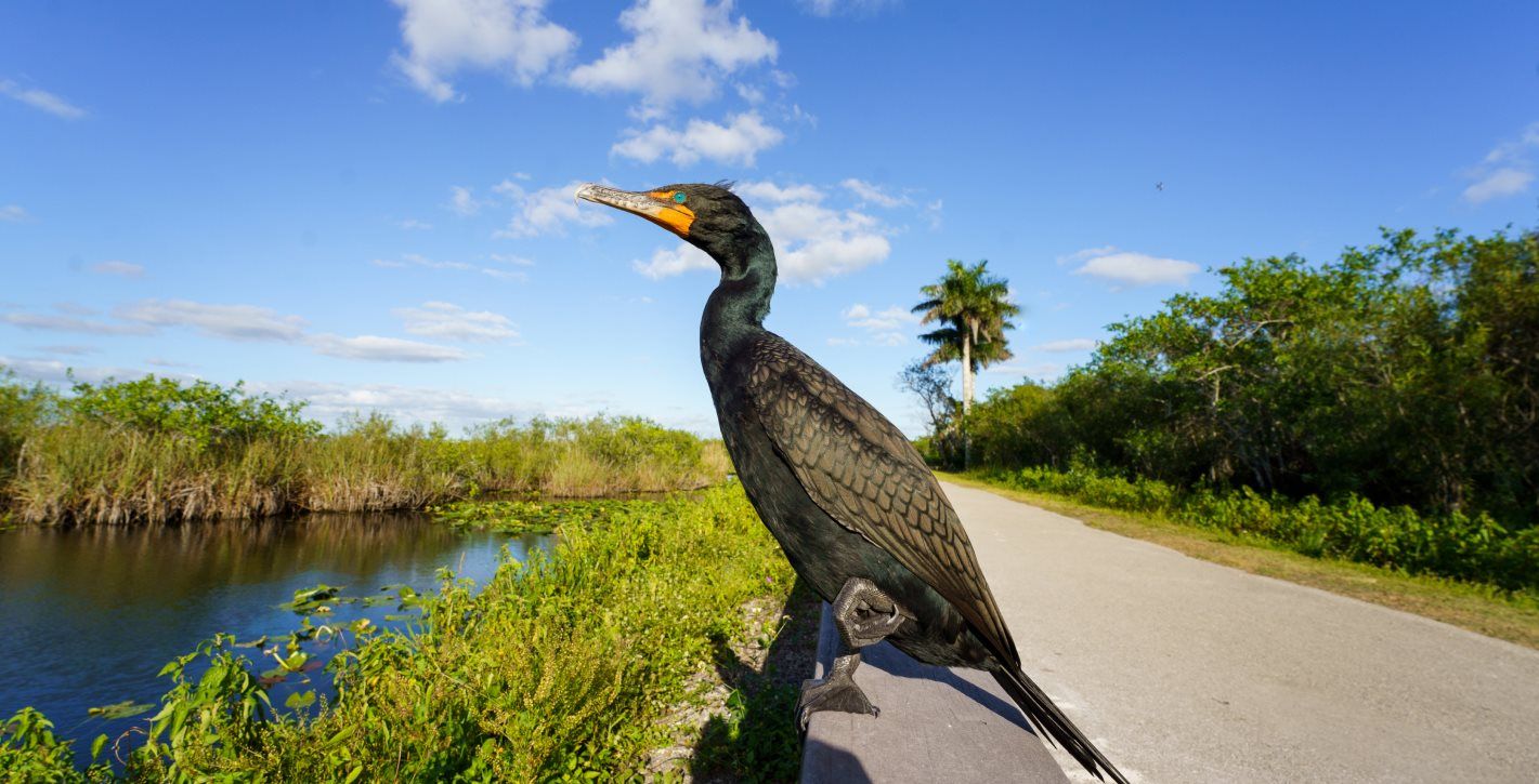 Everglades National Park