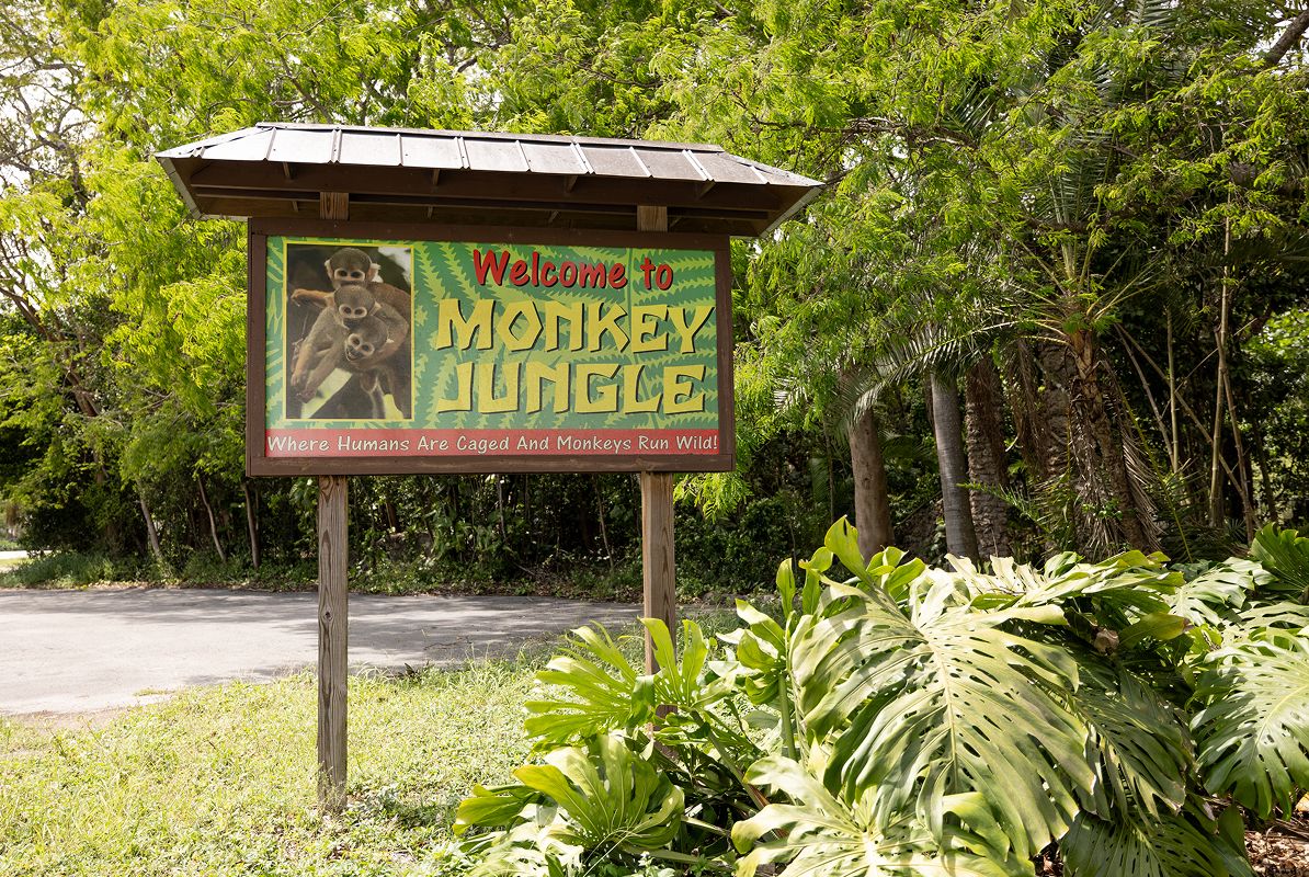 Miami Monkey Jungle 2of2 091725