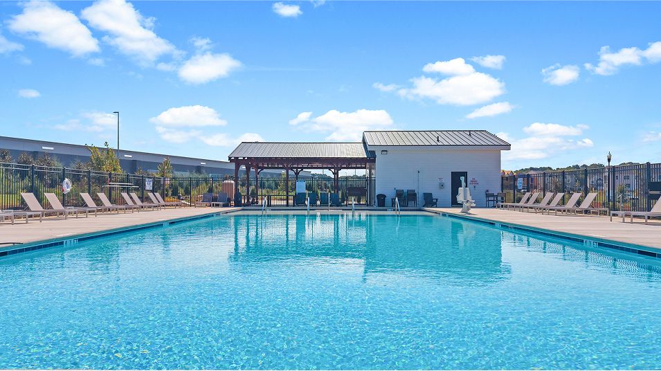 Chestnut Springs Amenity Pool 091025