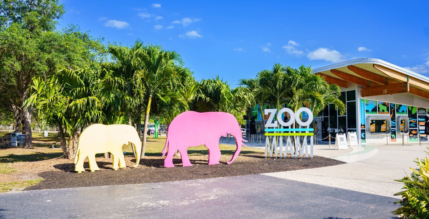 Miami Zoo