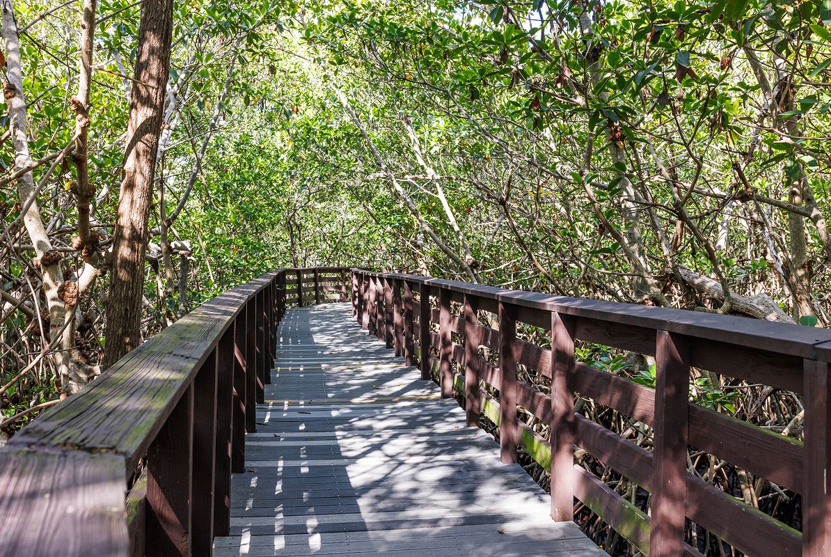 Wilton Manors Colohatchee Park