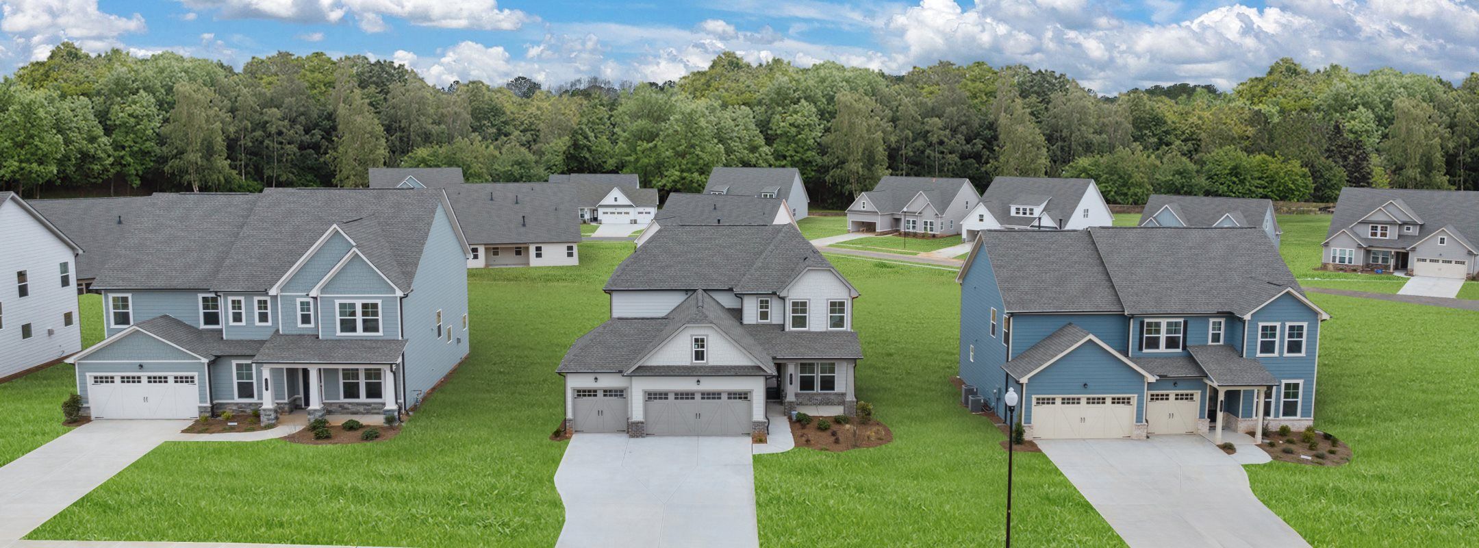 Twelve Parks Community