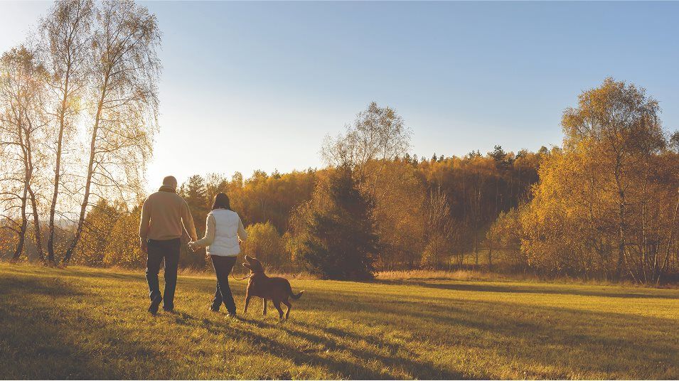 couple walking dog