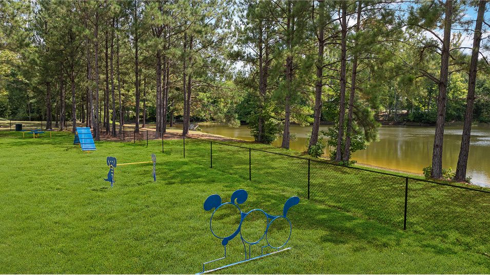 Twelve Parks Aerial Amenity Dog Park 060625