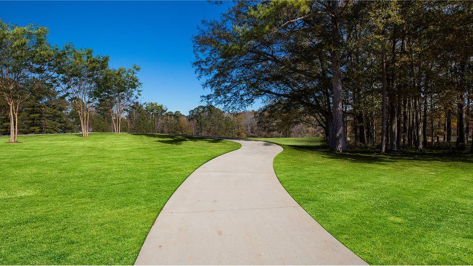 Court at Gainesville trails