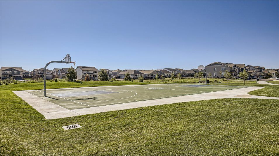 Basketball court amenity