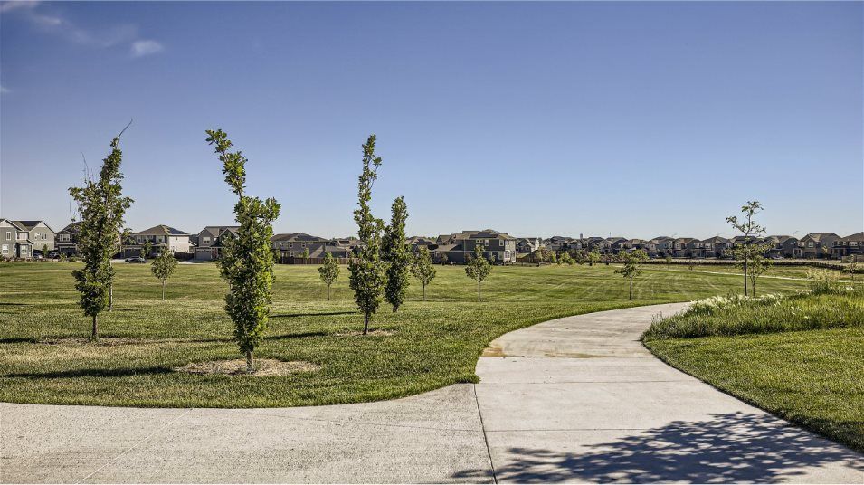 Trail amenity