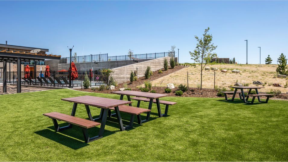 Macanta picnic area amenity