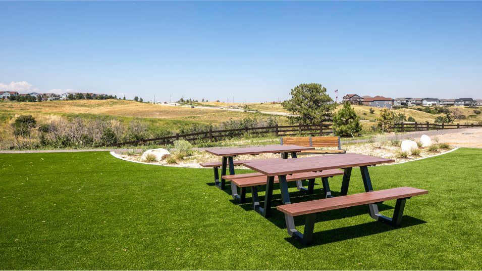 Macanta picnic area amenity