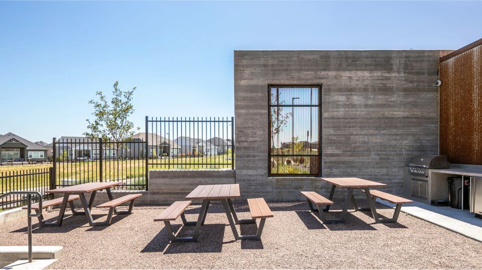 Macanta picnic area amenity