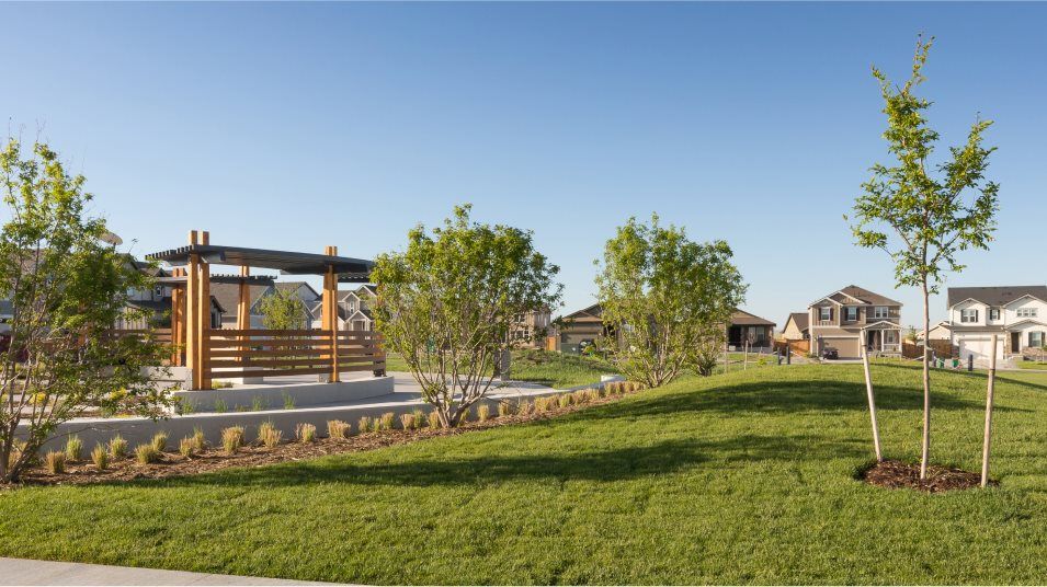 Orion Park shade structure