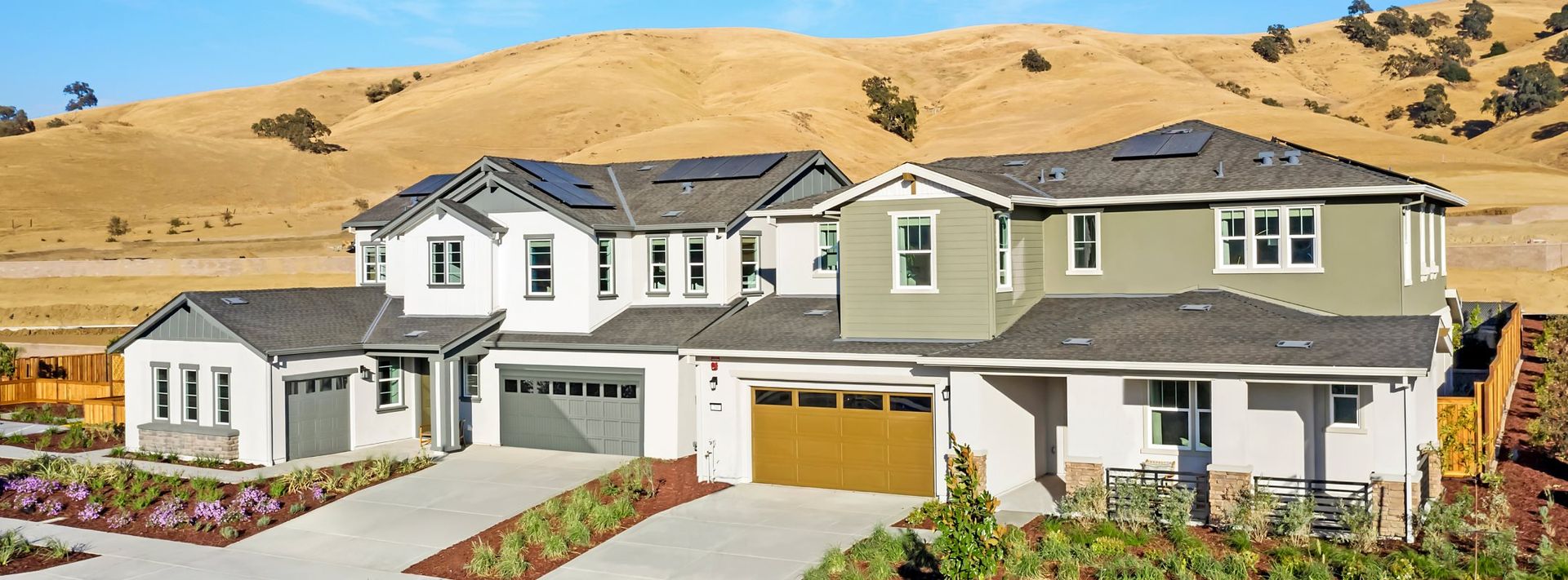 Lagoon Valley Lilac Ridge