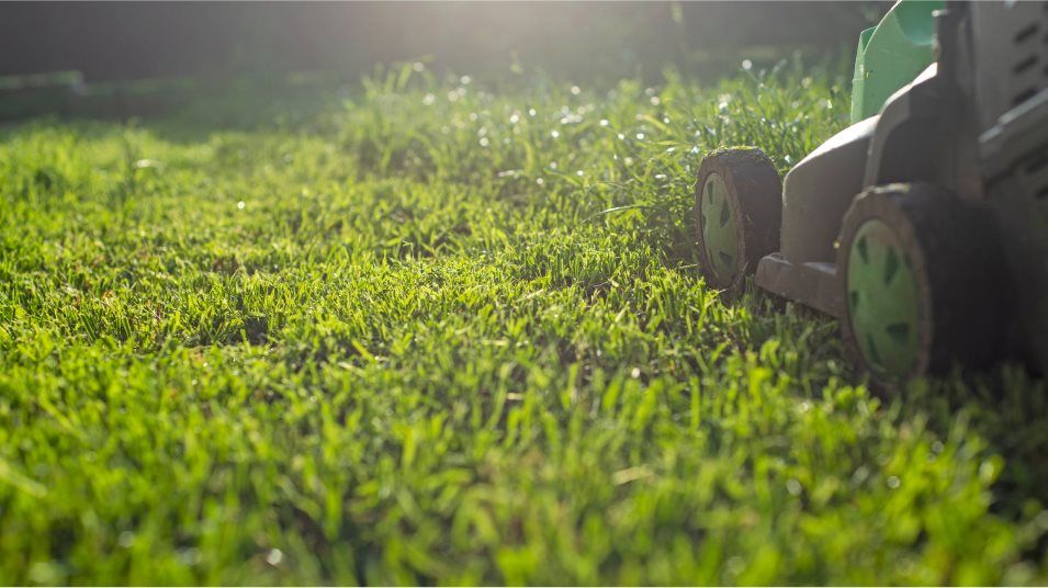 Fully Maintained Lawns
