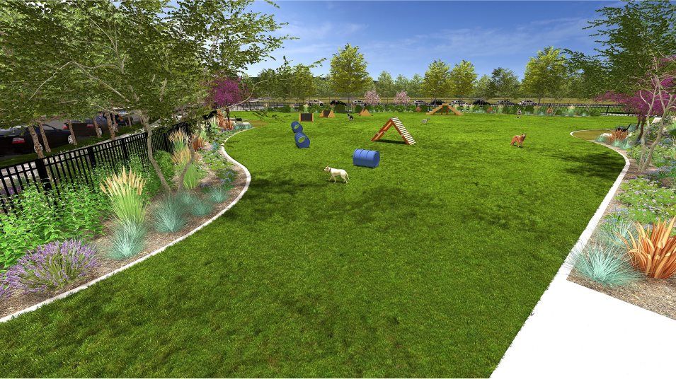 Dog park amenity