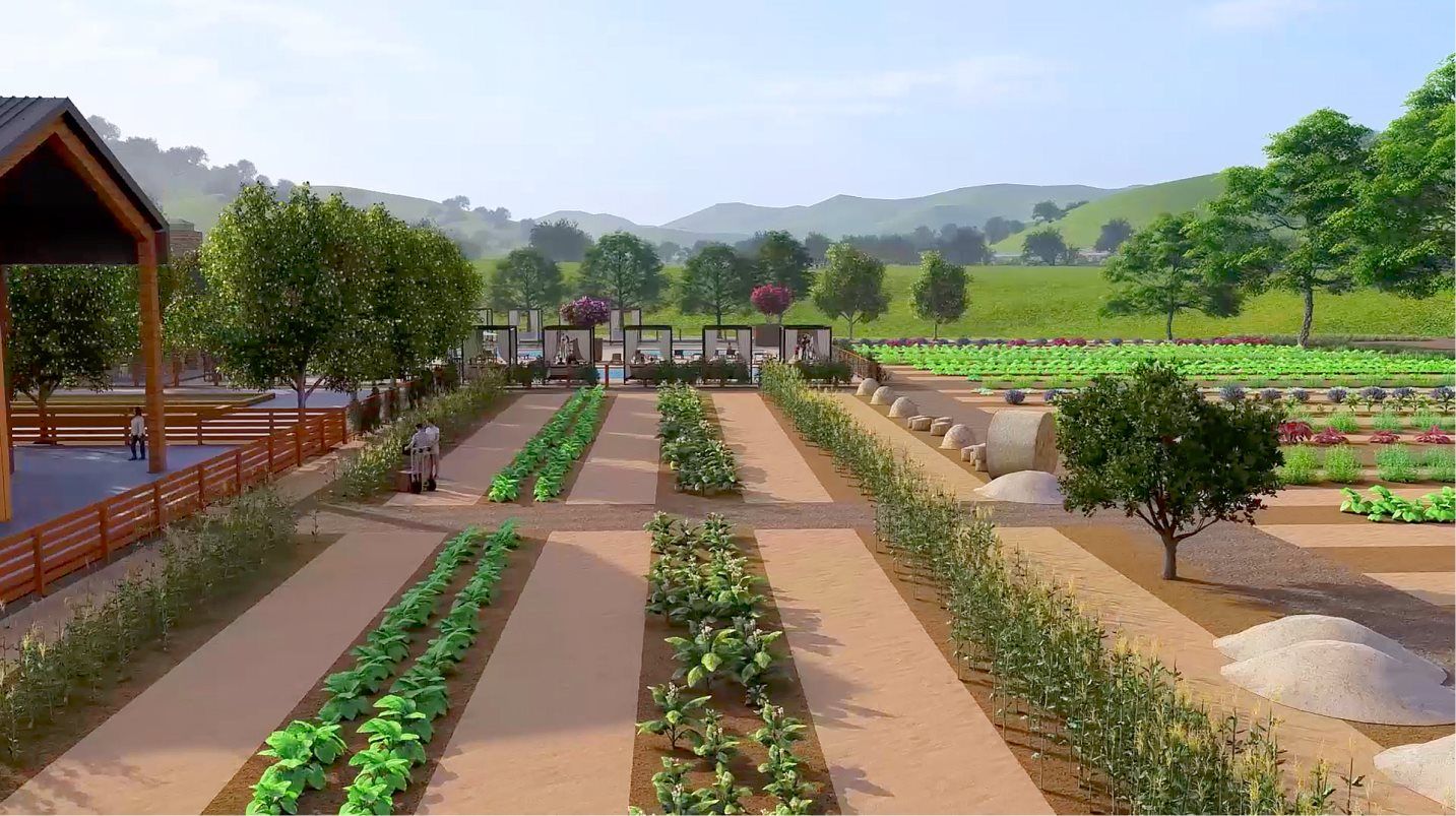 Lagoon Valley Community Garden