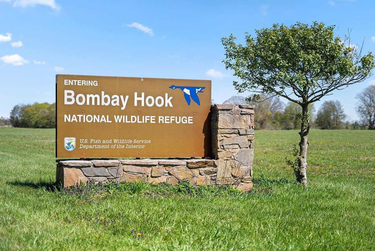 Bombay Hook National Wildlife refuge