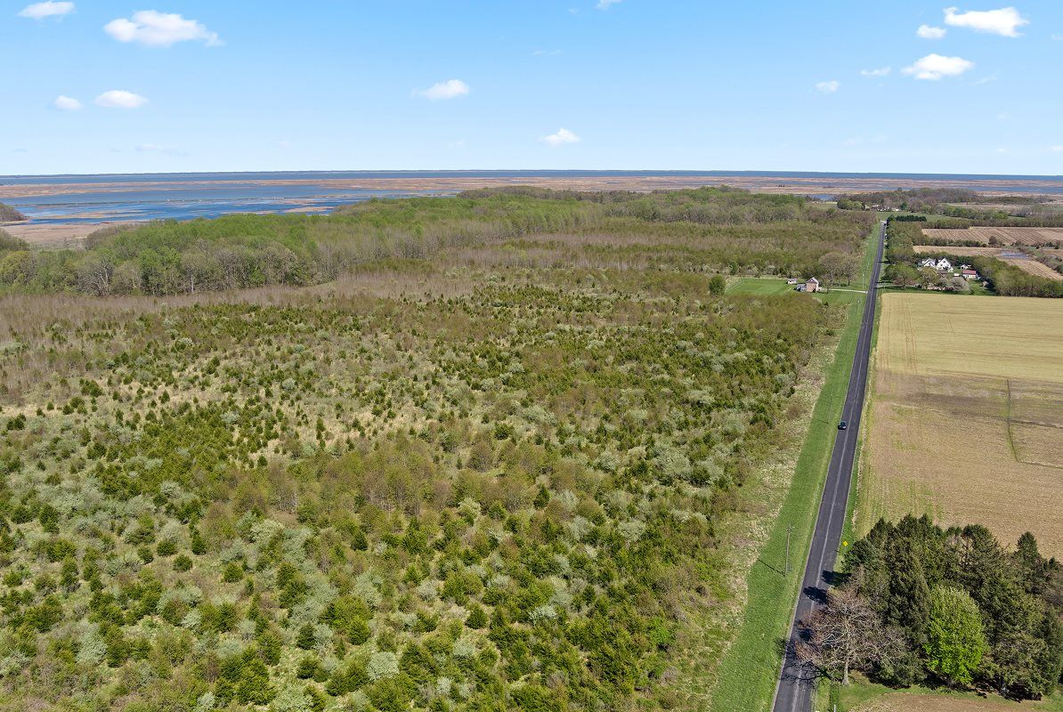 salt marsh at Bombay Hook National Wildlife Refuge
