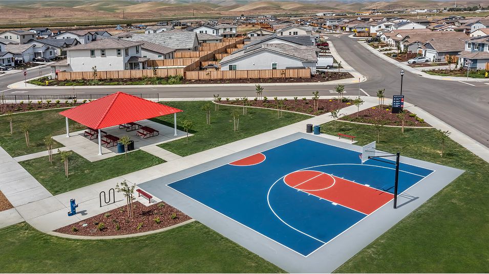 Baldwin Ranch Amenity Park Picnic 1of2