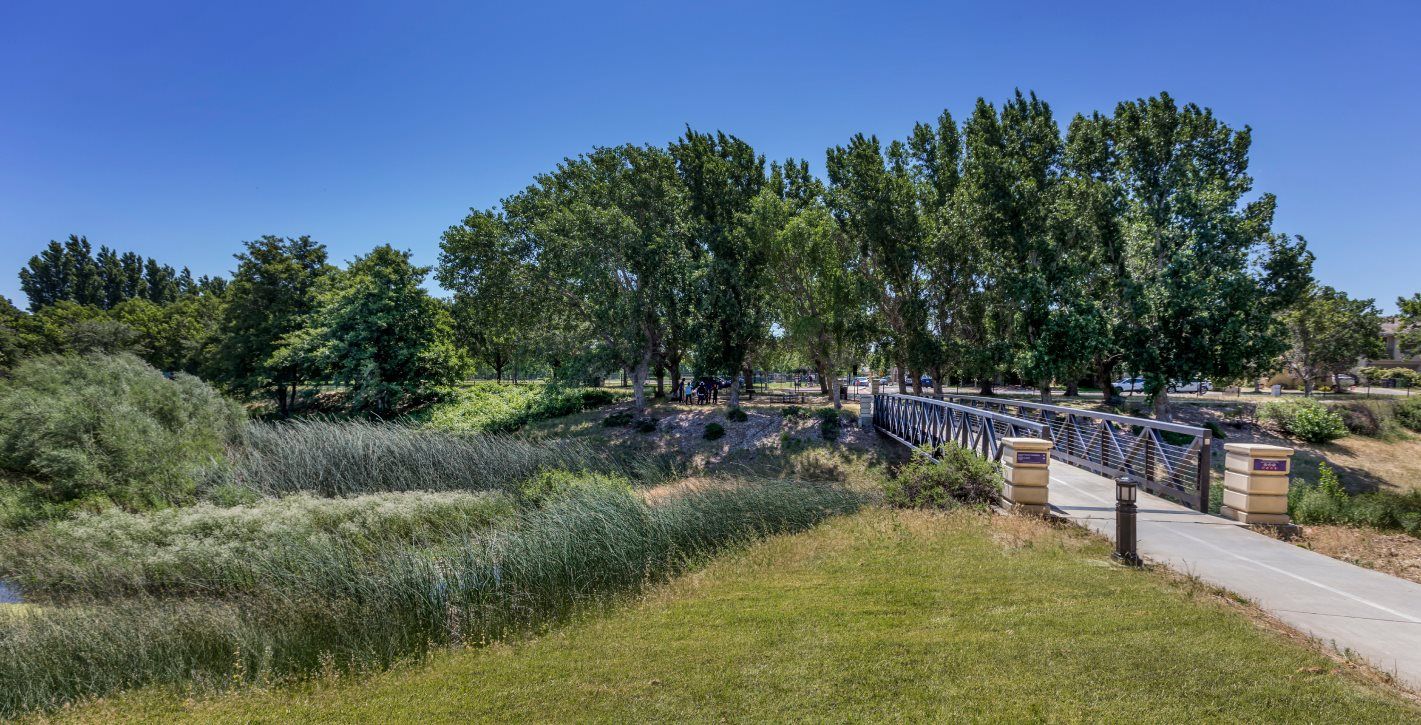 Bridge at a park with lots of trees