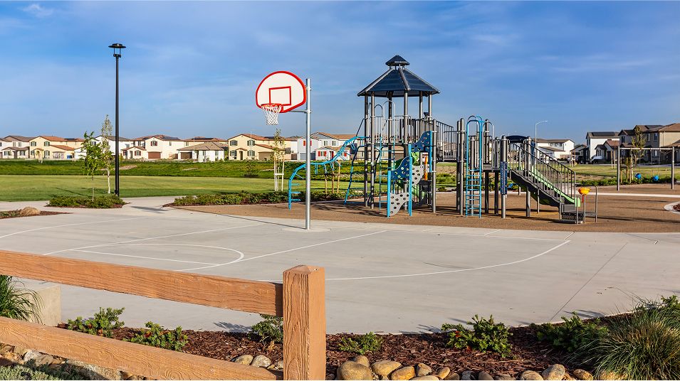 Denali Amenity Basketball