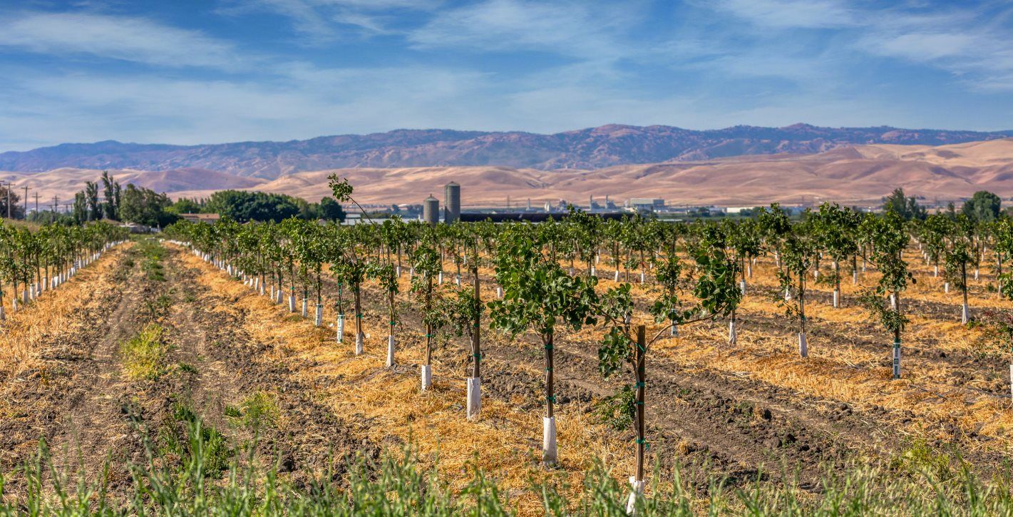 MountainHouse Local Agriculture