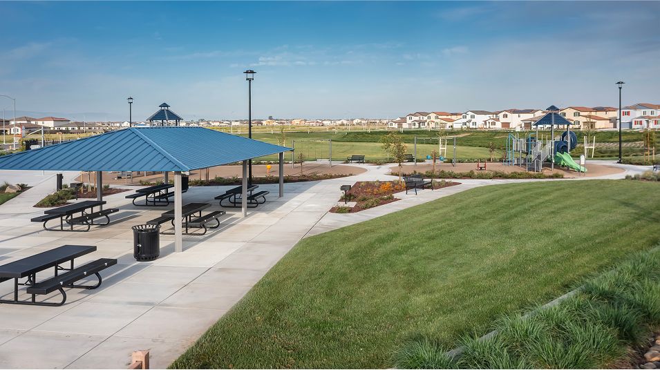 Denali Amenity Picnic 2of2