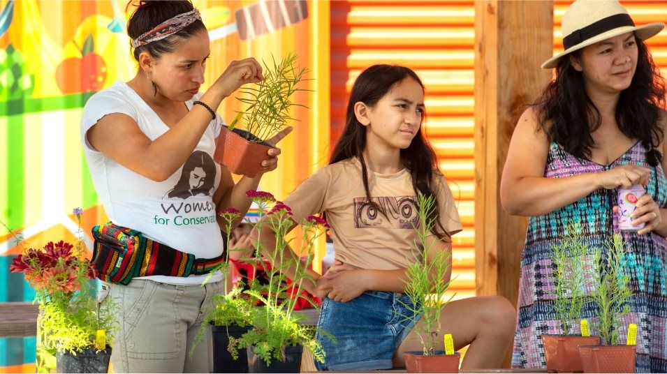 One Lake Community Garden