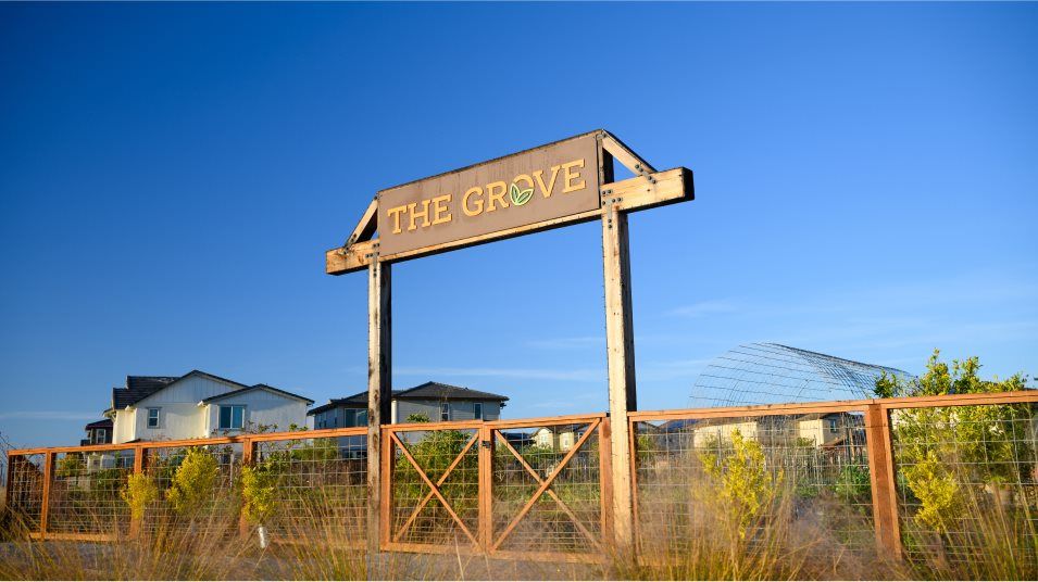 The Grove