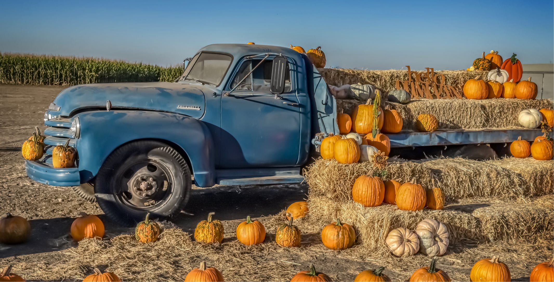 Patterson Fantozzi Farms