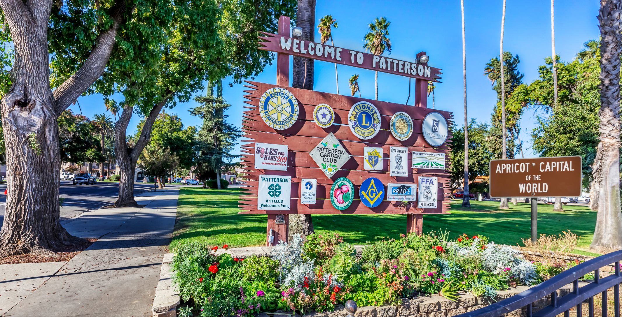 Patterson Apricot Capitol