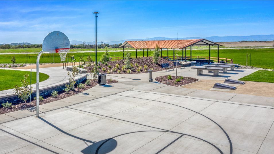 Basketball court amenity