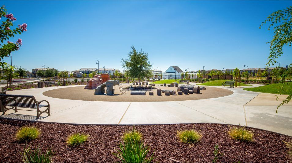 Tracy Hills Park Playground