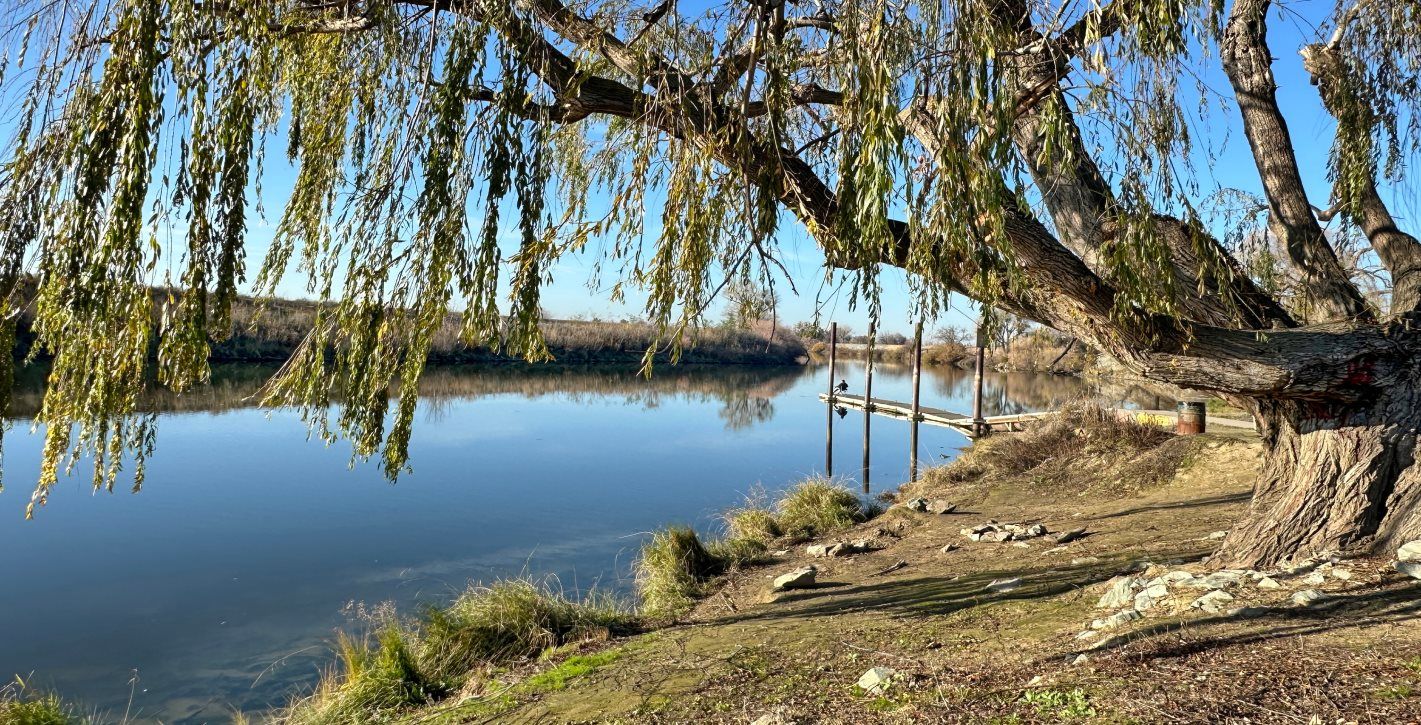 Dos Reis Regional Park
