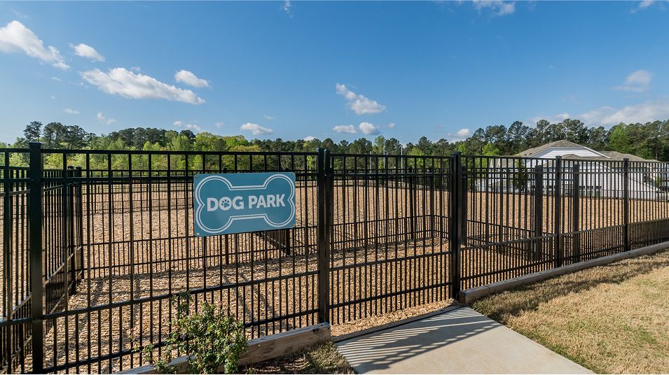 Divisional Amenity Dog Park