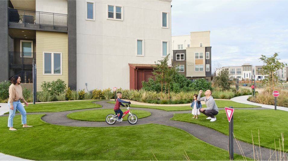 Boulevard Race Track park