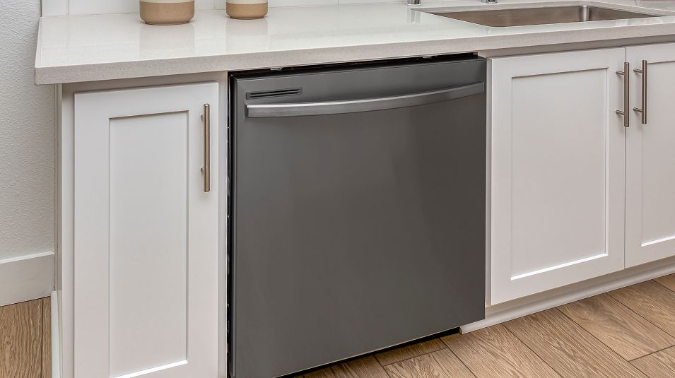 041025 Emerald One Lake Res2 Kitchen Dishwasher