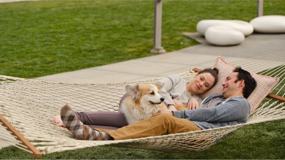 Boulevard The Hangout Park