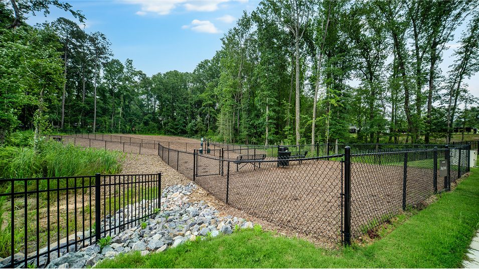 Sherri Downs Dog Park