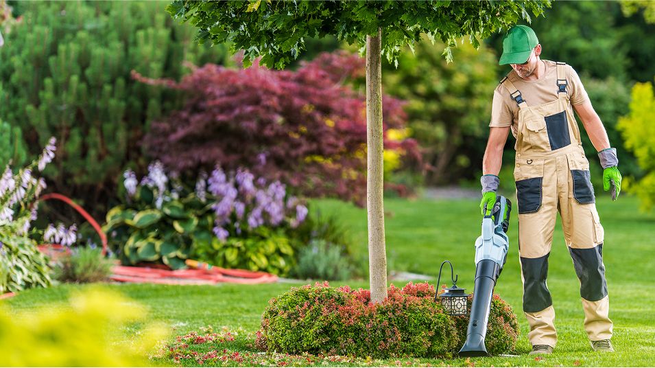 N Pic Adults Man Outdoors Landscaping Leafblower