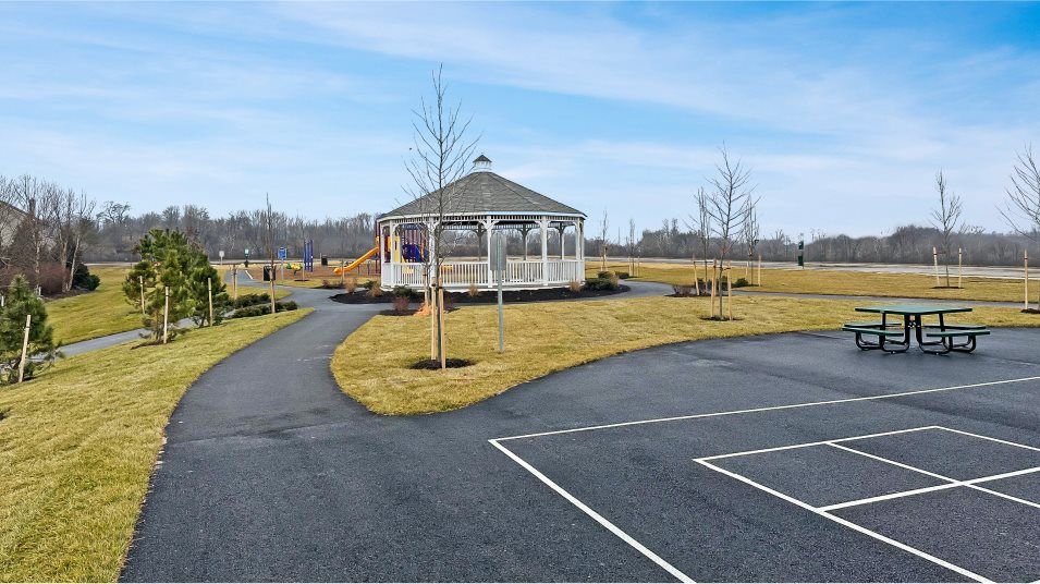 Shenandoah Springs Amenity Sport Court