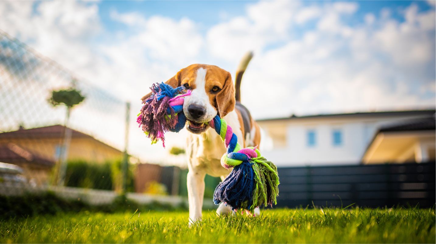 Harpers Mill Dog Park Amenity