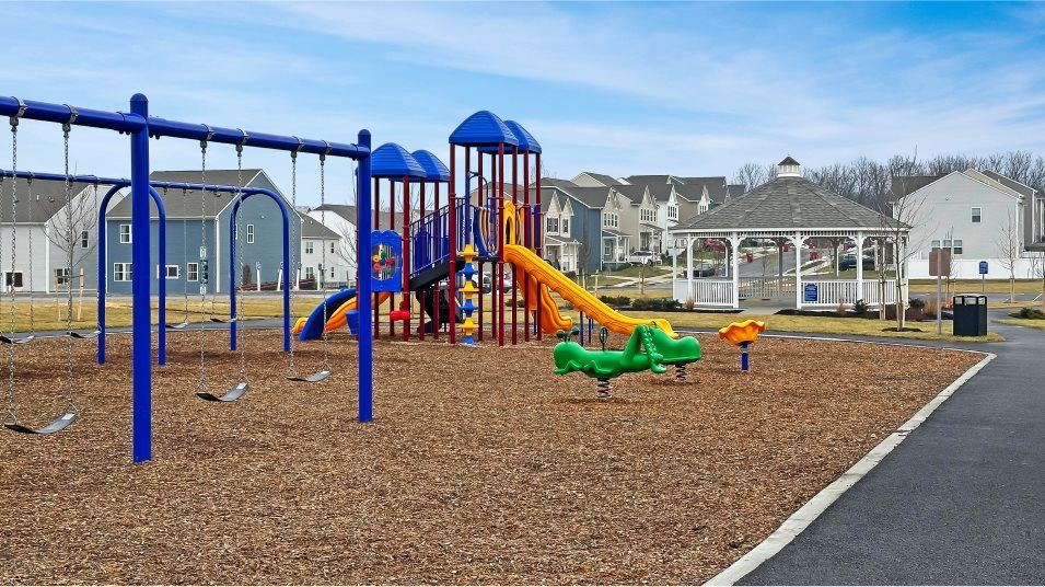 Shenandoah Springs Amenity Tot Lot