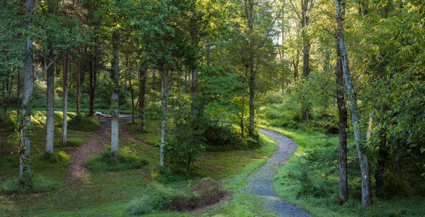 Shenandoah National Park