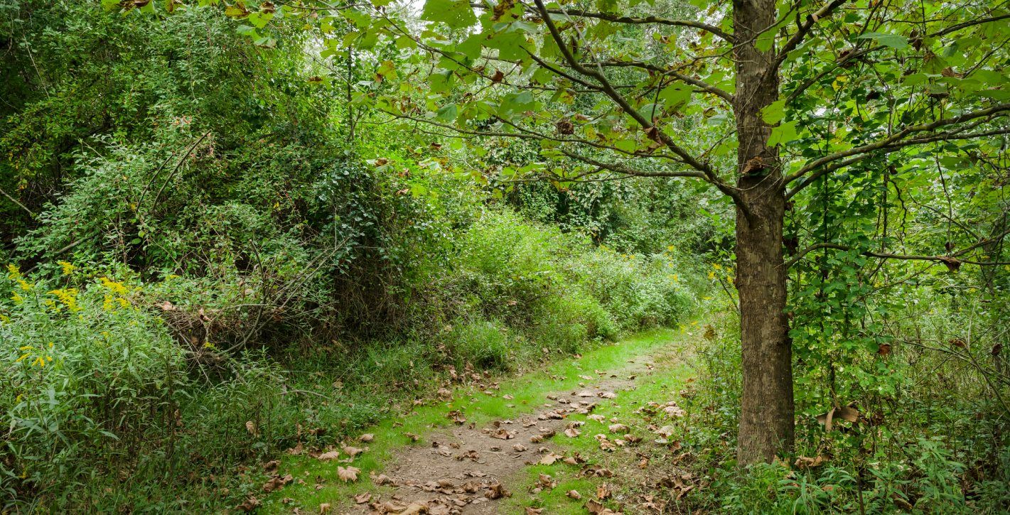 Cool Spring Nature Preserve