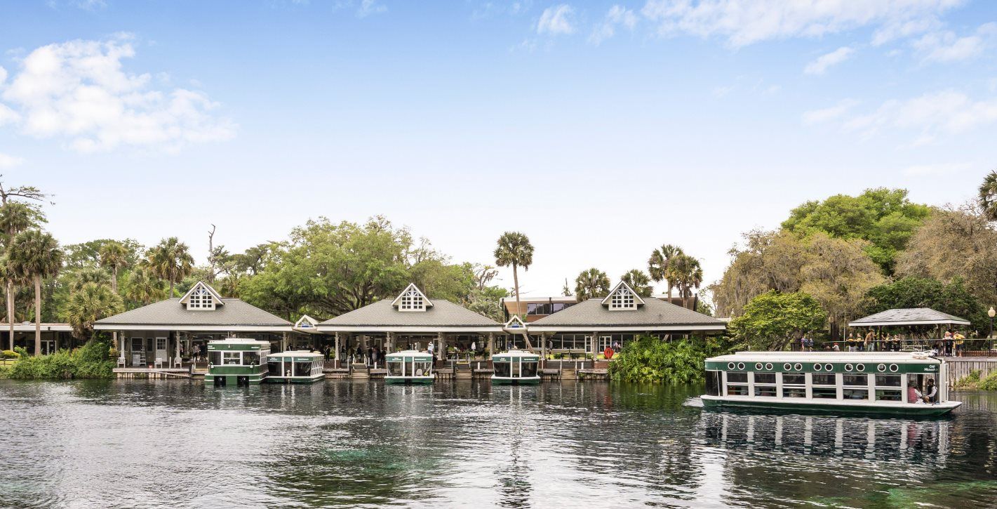Glass-bottom boat rides in Ocala