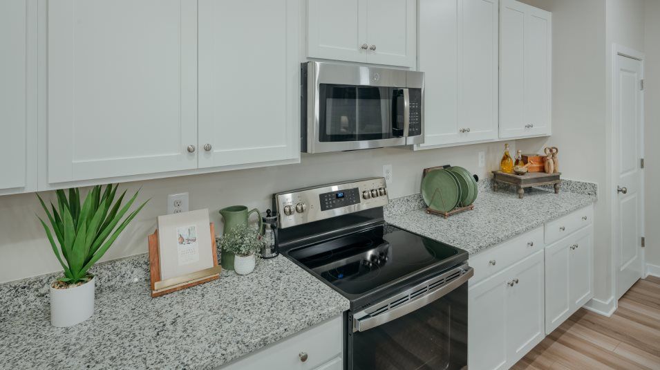 Microwave and Oven