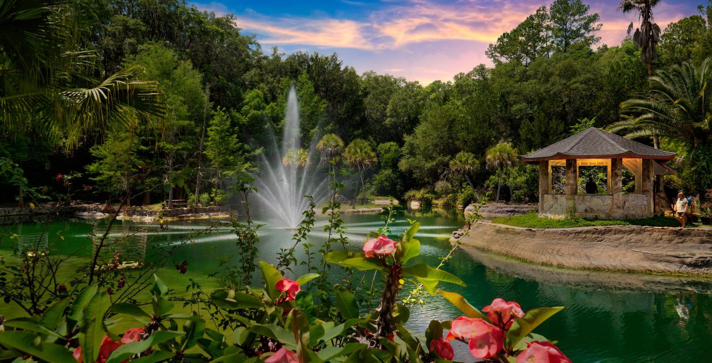 Cedar Lakes Woods and Gardens