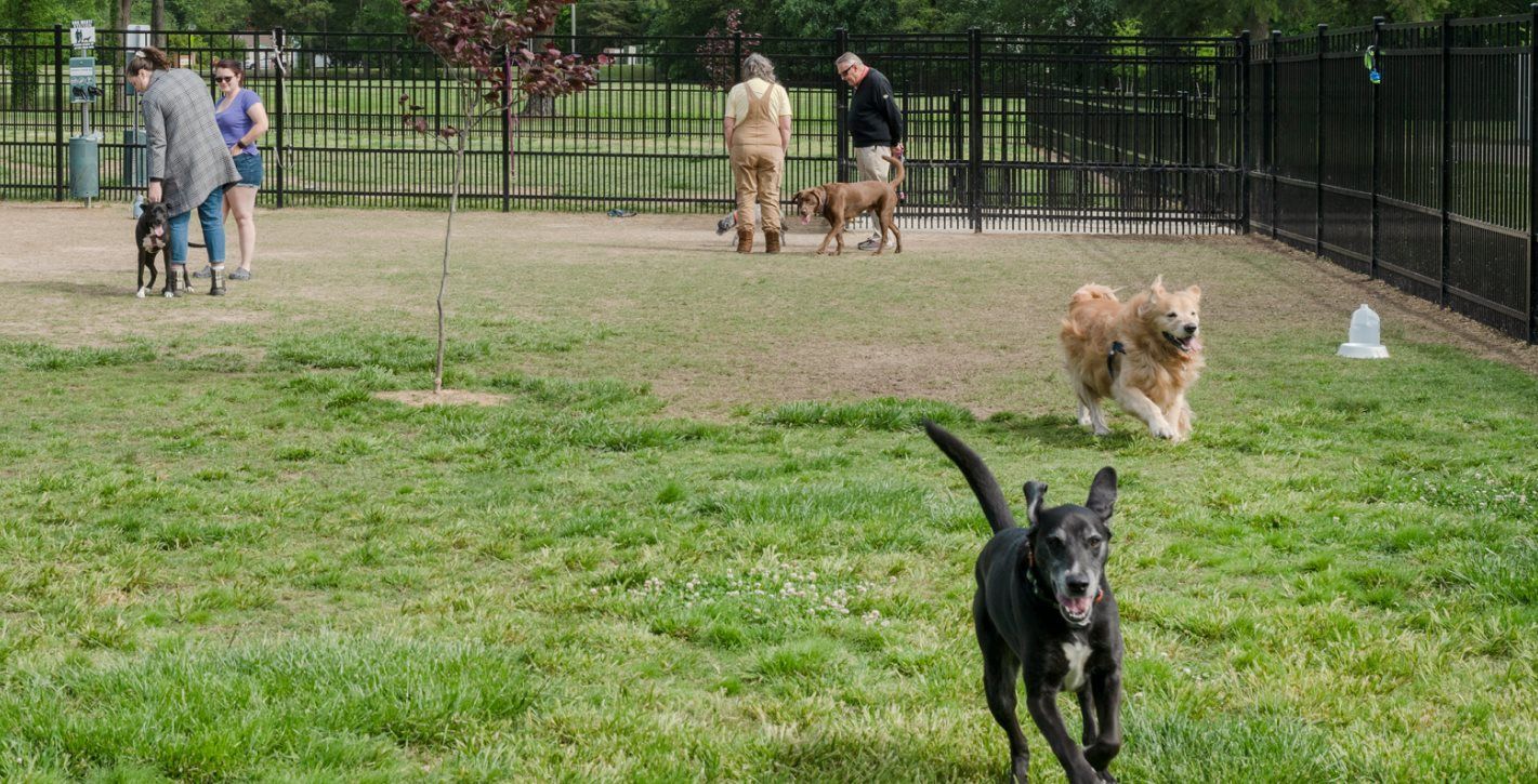 Kidsburg Dog Park