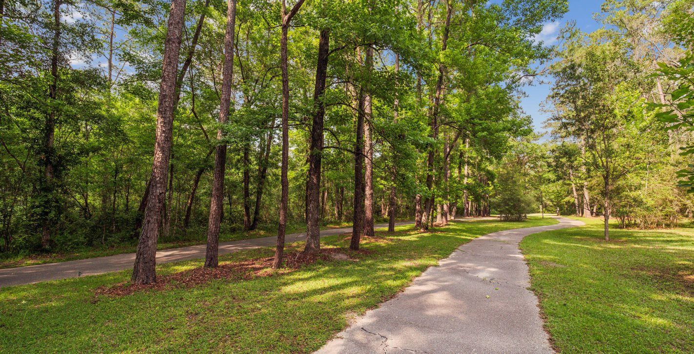 San Felasco Hammock Preserve State Park